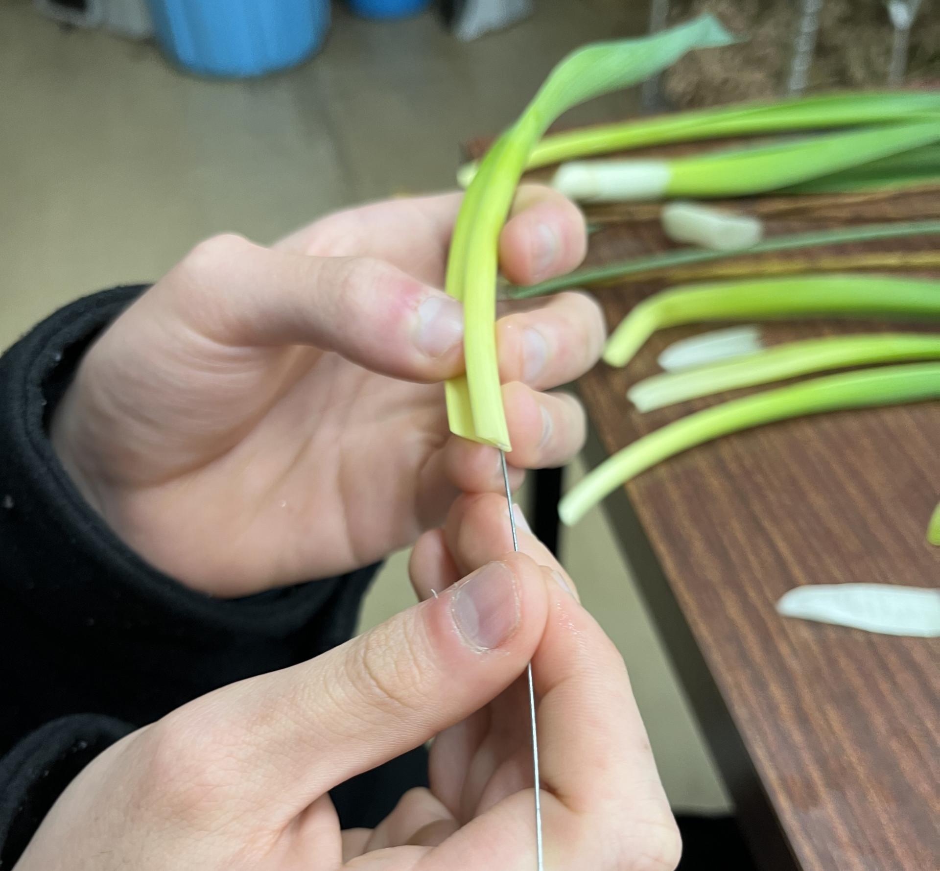 画像 -20260119-091242-4b1b57de